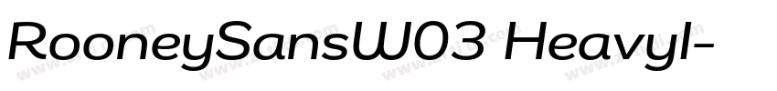RooneySansW03 HeavyI字体转换